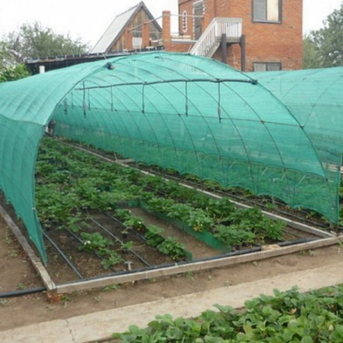 Затеняющая сетка 55 процентов, 3*10м