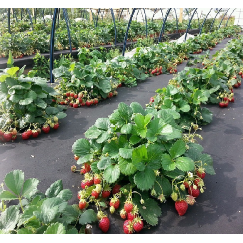 Защитно-декоративное ограждение, цвет коричневый 4 шт Защитно-декоративное ограждение, цвет коричневый 4 шт