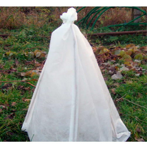 Укрытие для молодых деревьев на зиму  Укрытие для молодых деревьев на зиму