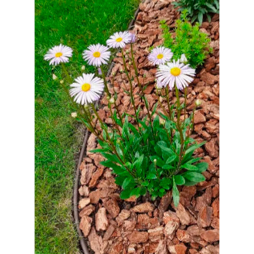 Бордюр садовый ДЕКО зелёный, 10 метров