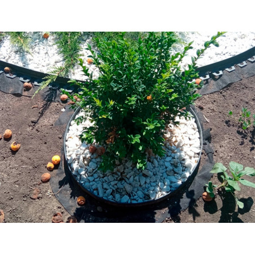 Садовый бордюр 