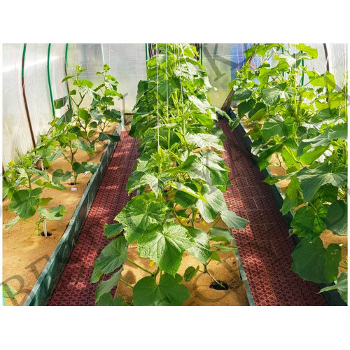 Мульча кокосовая Мульчаграм 0,75x6 м