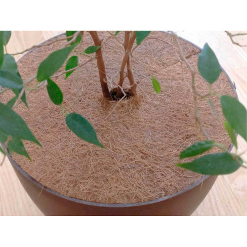 Круг приствольный Мульчаграм 30 см, комплект - 5шт