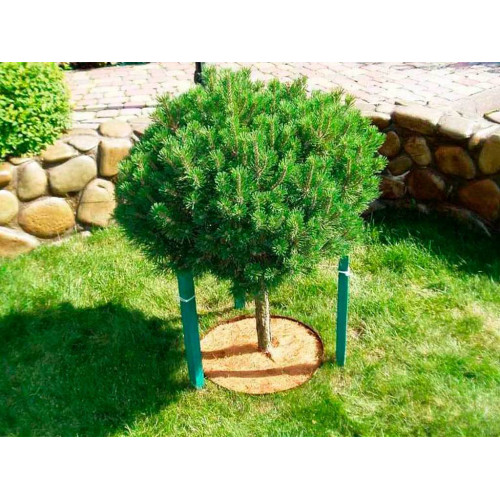 Круг приствольный Мульчаграм 30 см, комплект - 5шт