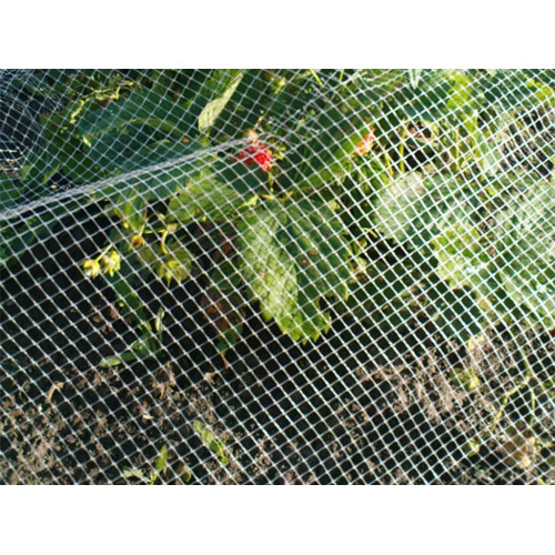 Сетка от птиц 2*10 м