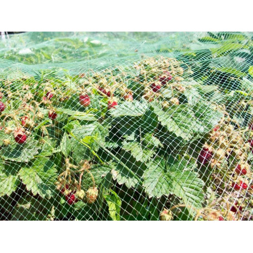 Сетка от птиц 2*10 м