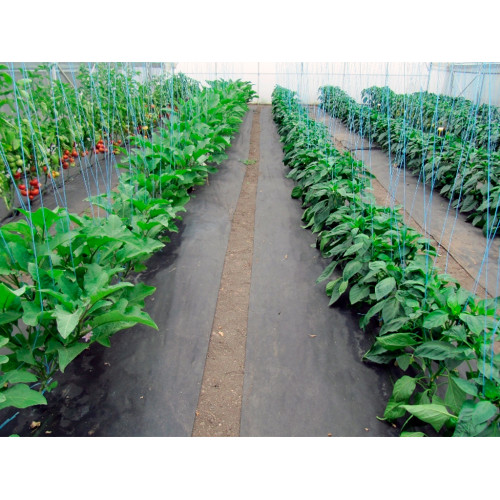 Геотекстиль 150 Строительный и садовый 1,6м x 25м (40 м2)