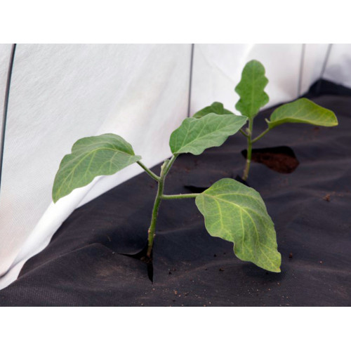 Спанбонд чёрный СУФ 60, 3,2*10 м