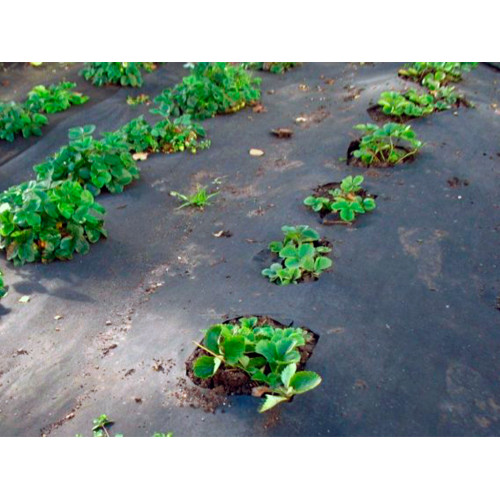 Геотекстиль 200 Строительный и садовый 1,6м x 25м (40 м2)