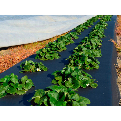 Геотекстиль 150 Строительный и садовый 1,6м x 25м (40 м2)