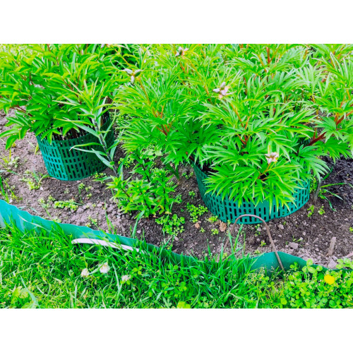 Защитно-декоративное ограждение, цвет зелёный 4 шт Защитно-декоративное ограждение, цвет зелёный 4 шт