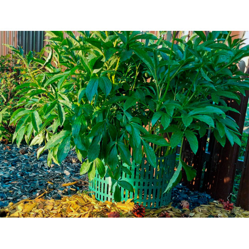 Защитно-декоративное ограждение, цвет зелёный 4 шт Защитно-декоративное ограждение, цвет зелёный 4 шт