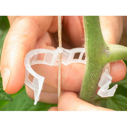 Клипса для крепления растений, 100 шт Клипса для крепления растений, 100 шт