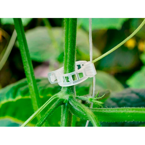 Клипса для крепления растений, 100 шт Клипса для крепления растений, 100 шт