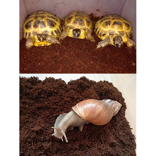 Кокосовый субстрат брикет 70 литров