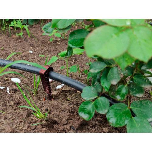 Колышек для капельной трубки КОРИЧНЕВЫЙ Г-образный 16 мм - пакет 40 шт Колышек для капельной трубки КОРИЧНЕВЫЙ Г-образный 16 мм - пакет 40 шт