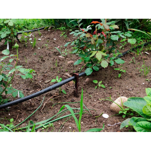 Колышек для капельной трубки КОРИЧНЕВЫЙ Г-образный 16 мм - пакет 40 шт Колышек для капельной трубки КОРИЧНЕВЫЙ Г-образный 16 мм - пакет 40 шт