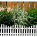 Забор декоративный 