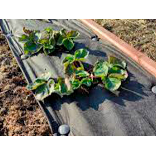 Колышек для спанбонда, 15 см (20 шт) Колышек для спанбонда, 15 см (20 шт)