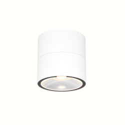 Потолочный светильник Outdoor O310CL-L12W3K