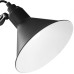 Настольная лампа Lightstar 765927 Настольная лампа Lightstar 765927