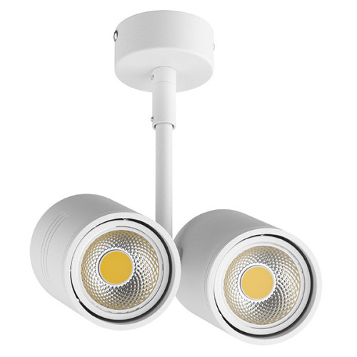 Накладной светильник Lightstar 214446 Накладной светильник Lightstar 214446