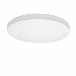 Накладной светильник Lightstar 225262 Накладной светильник Lightstar 225262