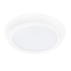 Влагозащищенный светильник Lightstar 216904