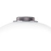 Настольная лампа Lightstar 805906 Настольная лампа Lightstar 805906