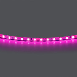 Лента Lightstar 420512 Лента Lightstar 420512
