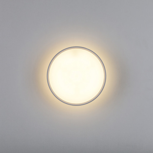 Накладной светильник Lightstar 215936