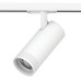 Светильник на шине Lightstar C4206SS Светильник на шине Lightstar C4206SS
