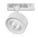 Светильник на шине Lightstar A5646QT60G