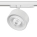 Светильник на шине Lightstar A5636QT60G Светильник на шине Lightstar A5636QT60G