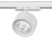 Светильник на шине Lightstar A5536QT60G Светильник на шине Lightstar A5536QT60G