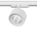 Светильник на шине Lightstar A5546QT60G Светильник на шине Lightstar A5546QT60G