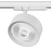 Светильник на шине Lightstar A5736QT60G Светильник на шине Lightstar A5736QT60G