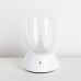 Настольная лампа Lightstar 807906 Настольная лампа Lightstar 807906
