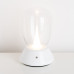 Настольная лампа Lightstar 807906 Настольная лампа Lightstar 807906