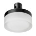 Светильник на шине Lightstar 210647