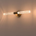 Светильник для картин Lightstar 201051-3000 Светильник для картин Lightstar 201051-3000