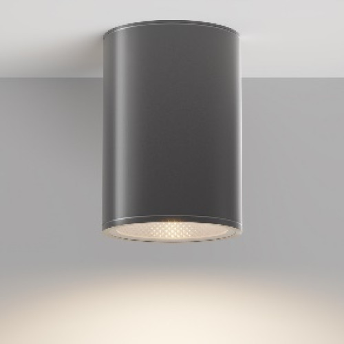 Уличный потолочный светильник Outdoor O306CL-L12GF