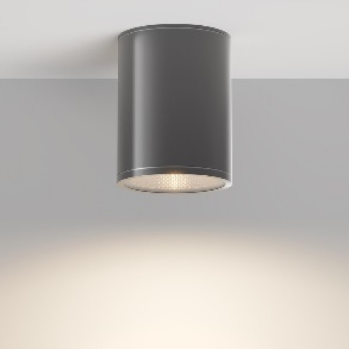 Уличный потолочный светильник Outdoor O306CL-L7GF
