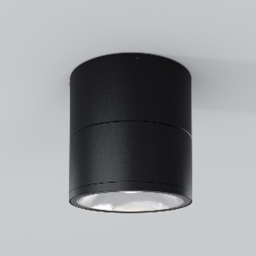 Уличный потолочный светильник Outdoor O310CL-L12GF3K
