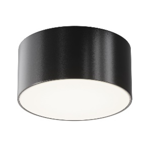 Уличный потолочный светильник Outdoor O430CL-L15B4K