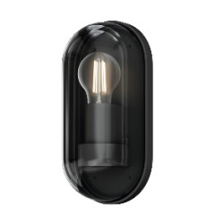 Уличный настенный светильник Outdoor O449WL-01GF Уличный настенный светильник Outdoor O449WL-01GF