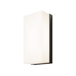 Уличный настенный светильник Outdoor O454WL-L10GF3K Уличный настенный светильник Outdoor O454WL-L10GF3K