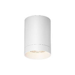 Уличный потолочный светильник Outdoor O500CL-L10W3K Уличный потолочный светильник Outdoor O500CL-L10W3K