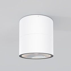 Потолочный светильник Outdoor O310CL-L12W3K Потолочный светильник Outdoor O310CL-L12W3K